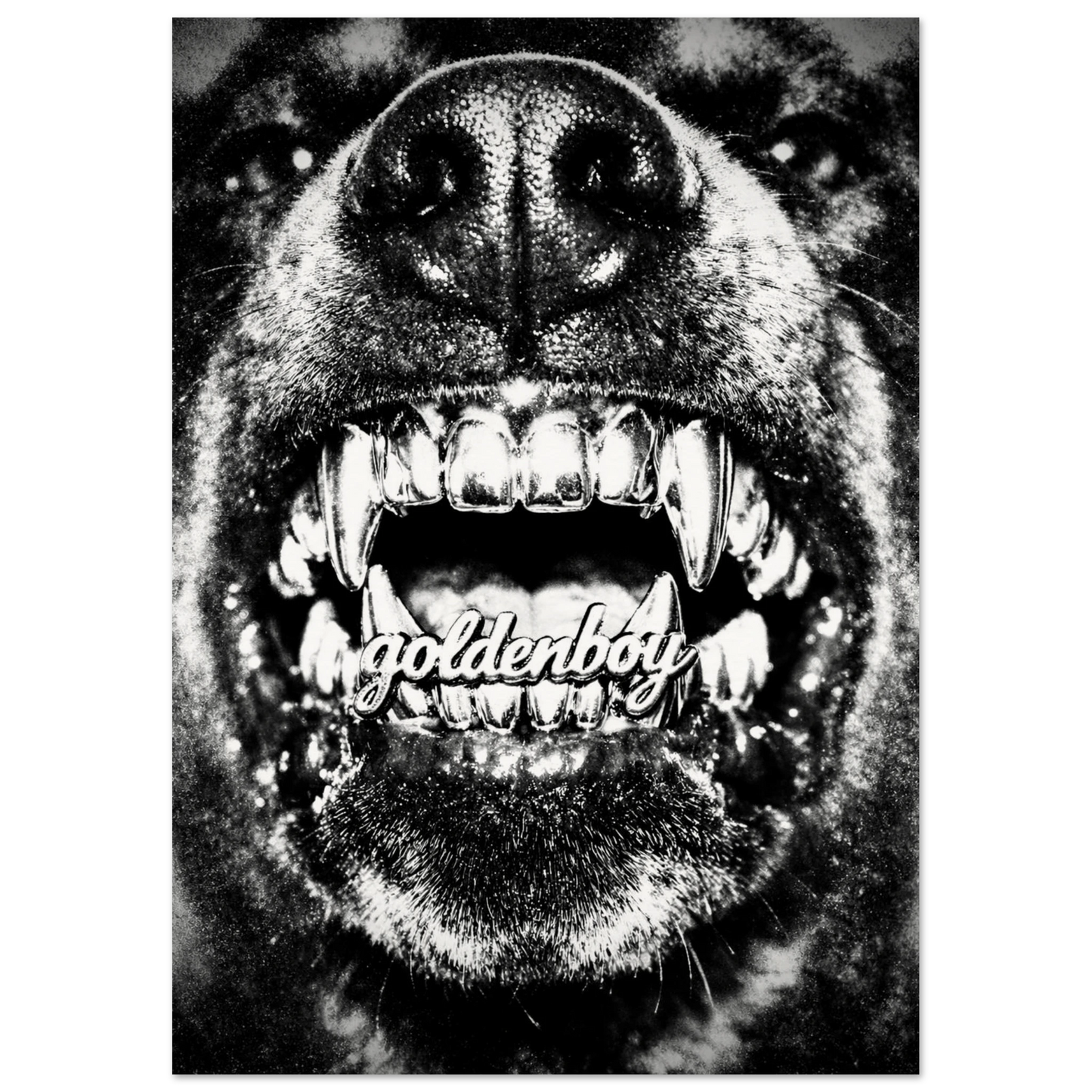 a4c02eae-fed7-497a-8b1e-1d836344b95f