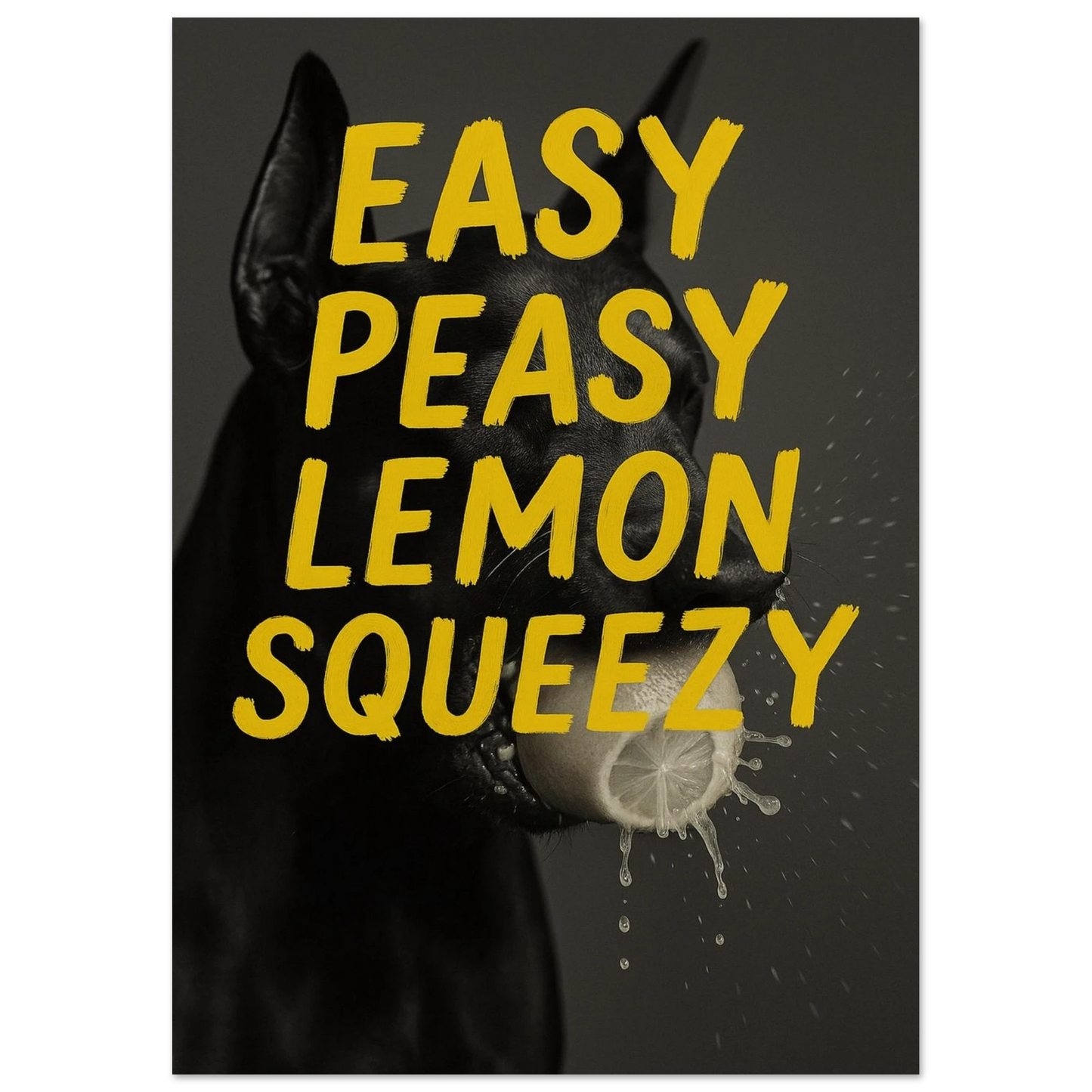 e1da5ee1-9c53-40ed-8a7f-defd6f951163