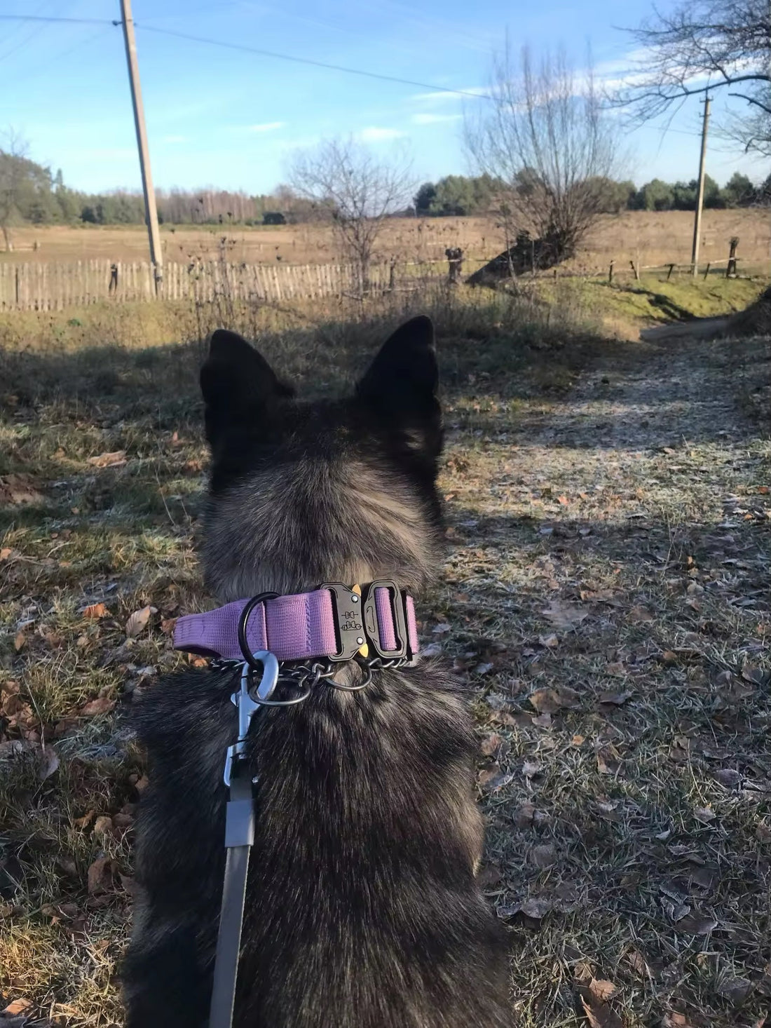 Share Your Zoom Moments