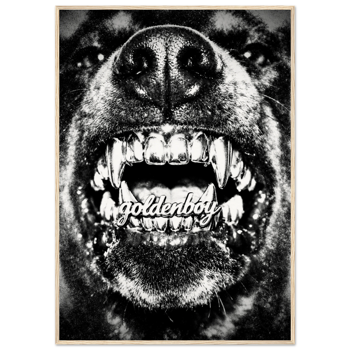 11b2125c-c353-4b41-899b-e3c526832159