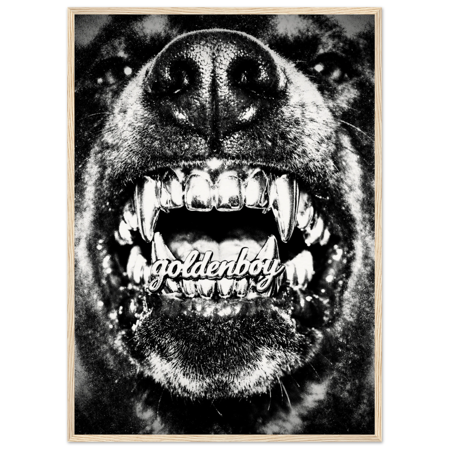 13e5e02e-05a0-4cd9-b45e-1f2a252d0dec