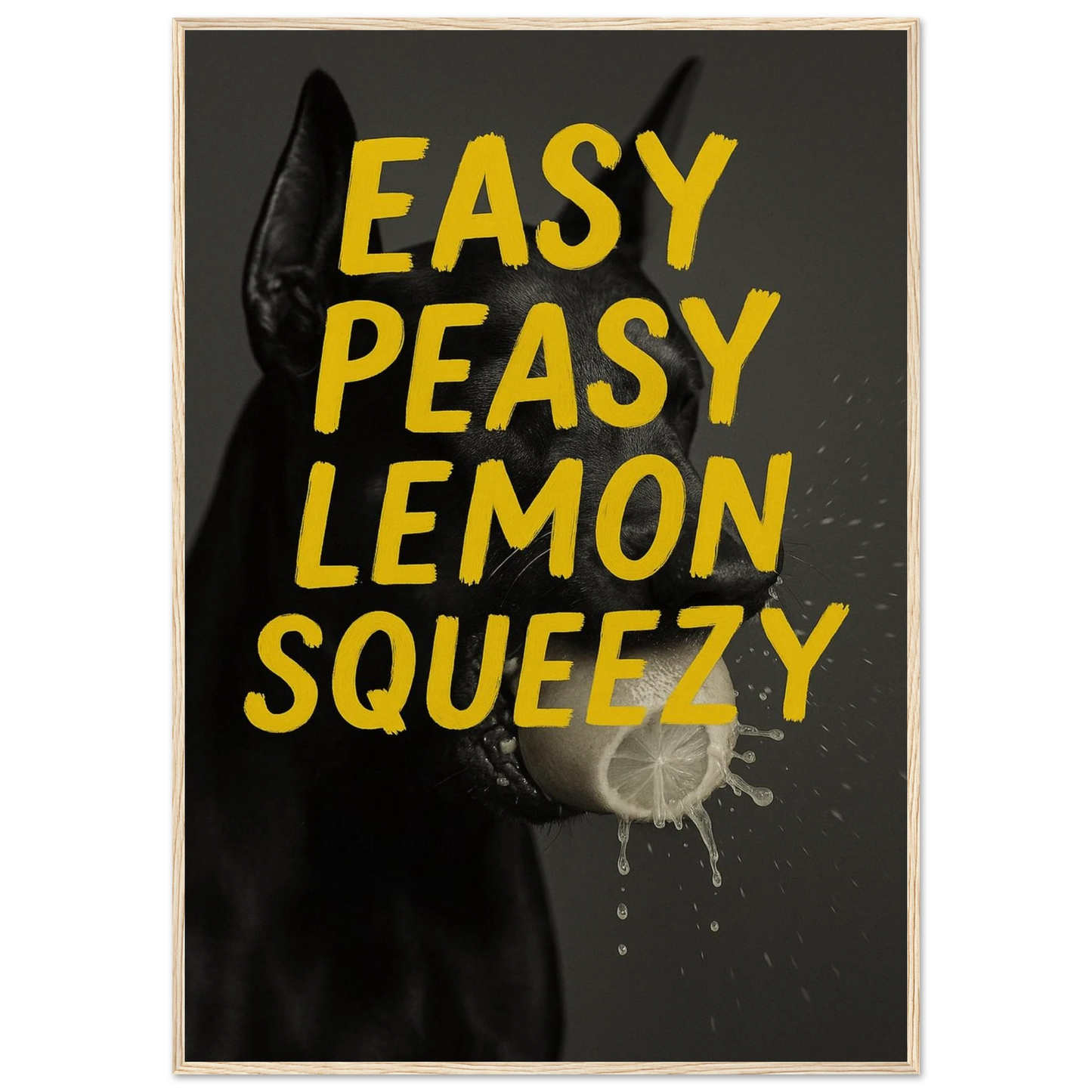 2b636808-09aa-4c1b-9d50-0ffc4a2c9005