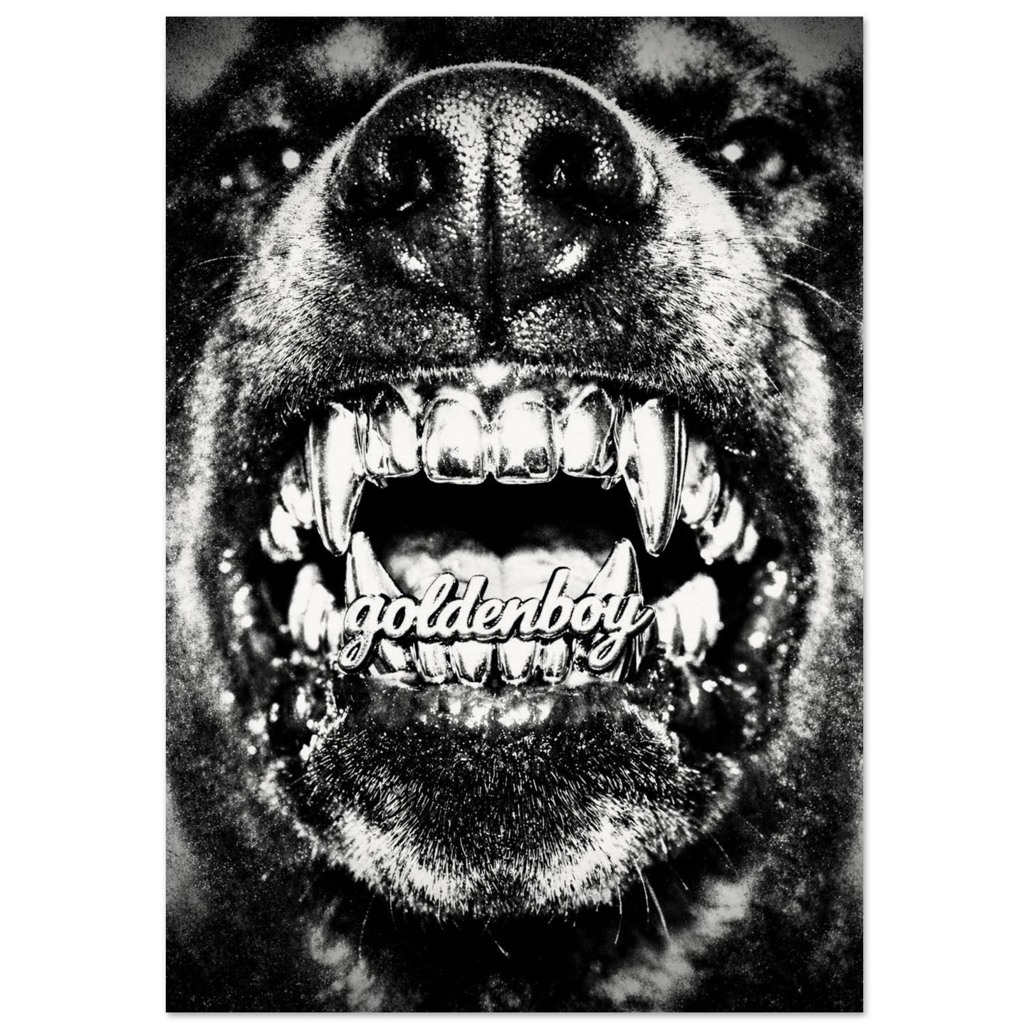 2b7add22-82c4-470c-b762-21cf568ebd81