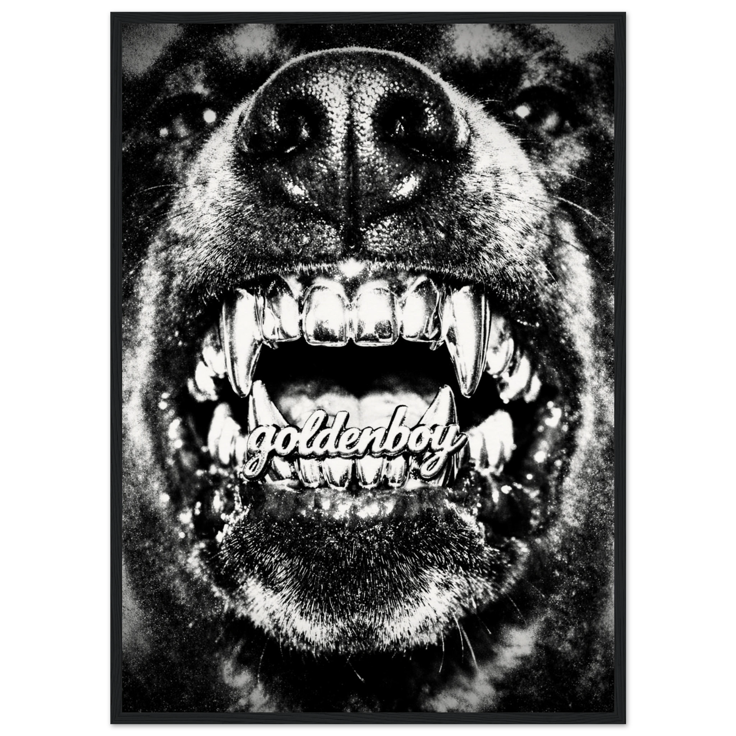 31527a75-f78a-4111-b275-64cc65012c3e