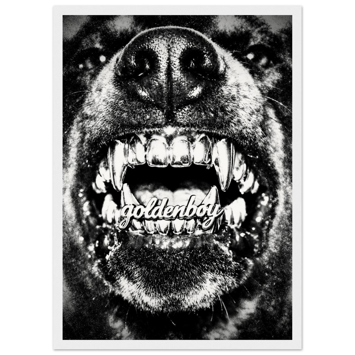 4a661a31-6b2d-4438-a16b-7ab6b07365c3