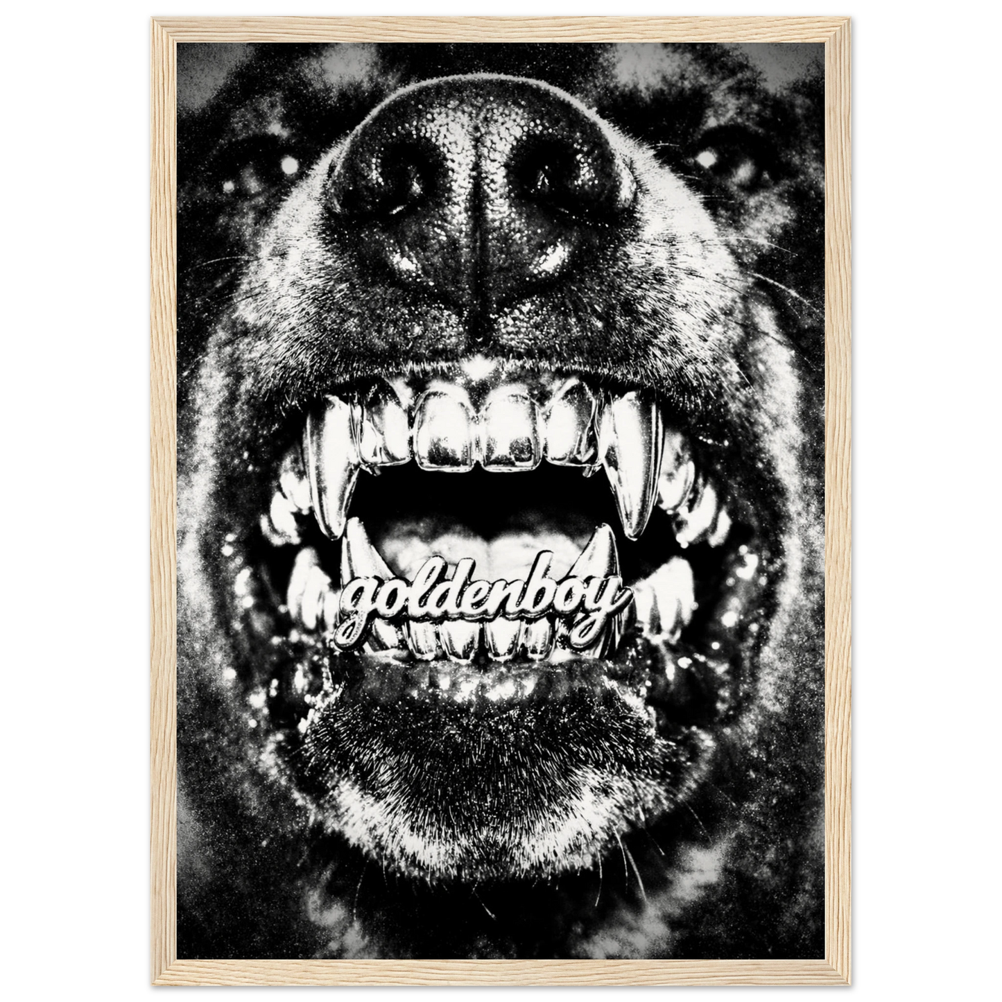 4dc630d5-066c-4995-9775-1d140d9bdc00