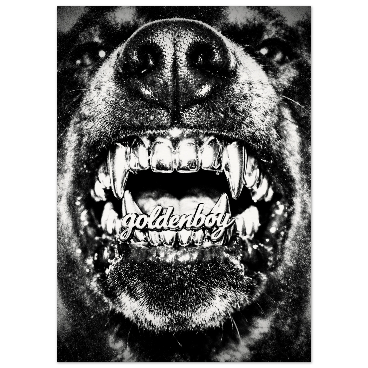 656dd870-b060-46d3-b754-82ebc70ba5b8