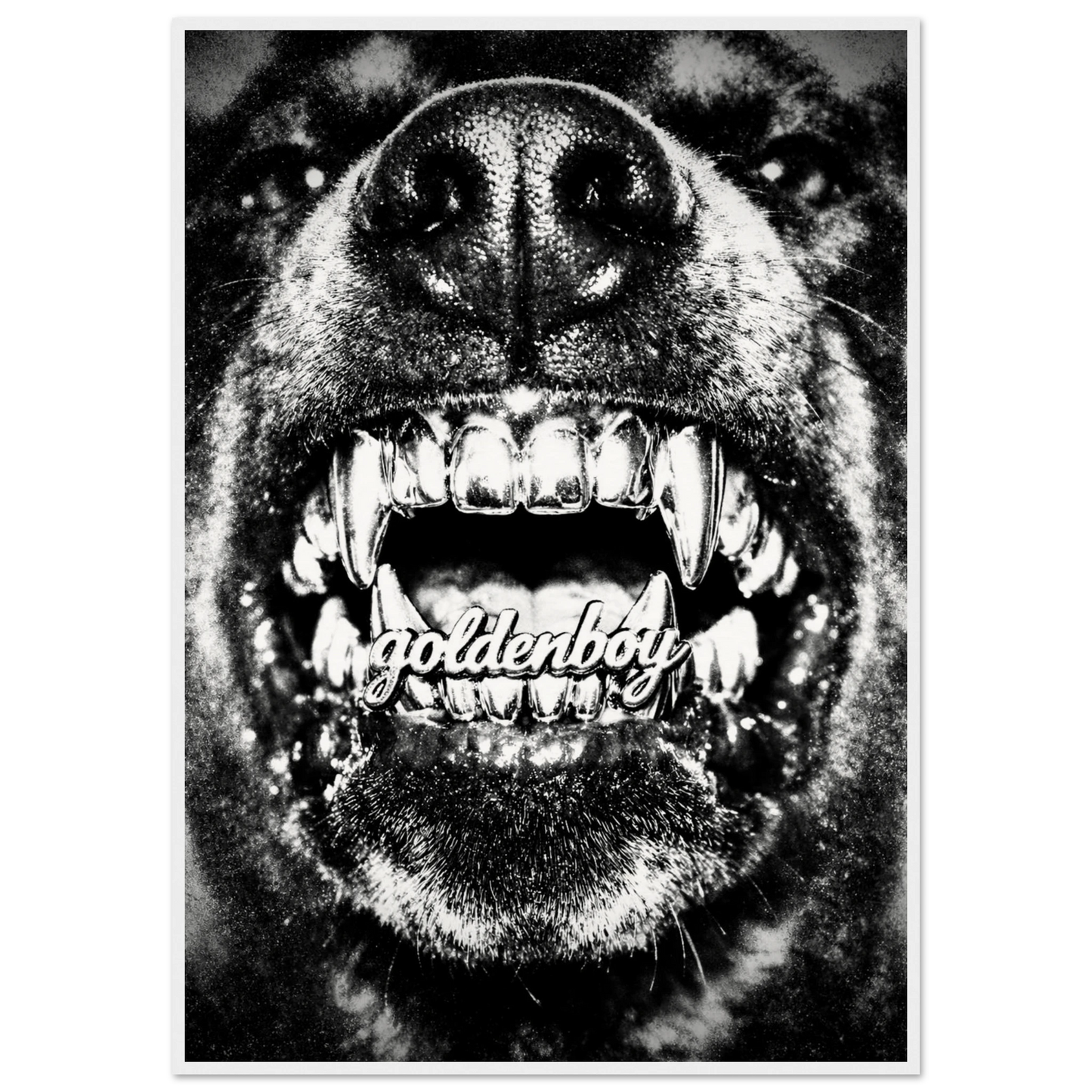 97beafa2-a41c-4170-984b-ec82d8ff4542