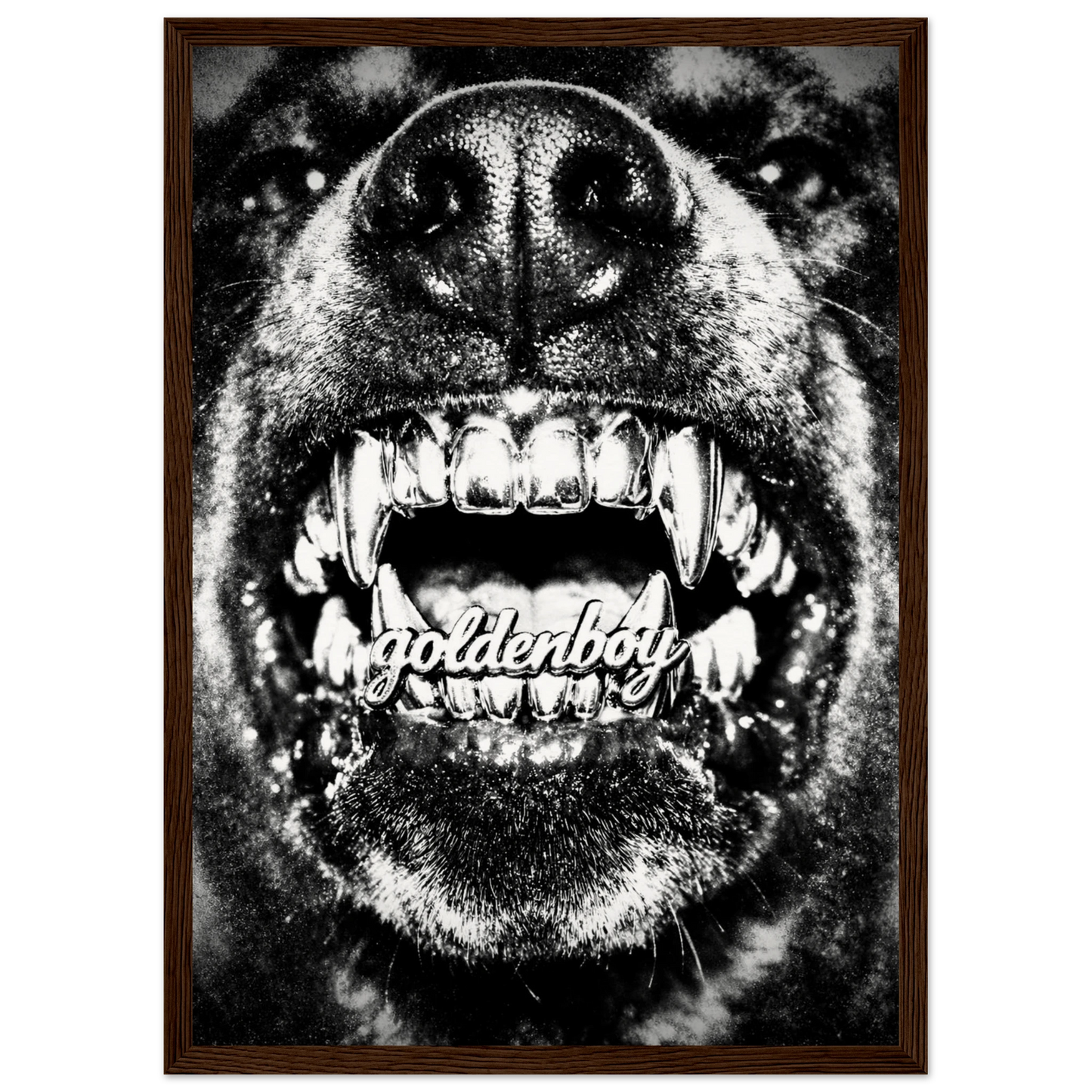 e1ef02a2-4b70-46c4-b51d-5bcce261806e